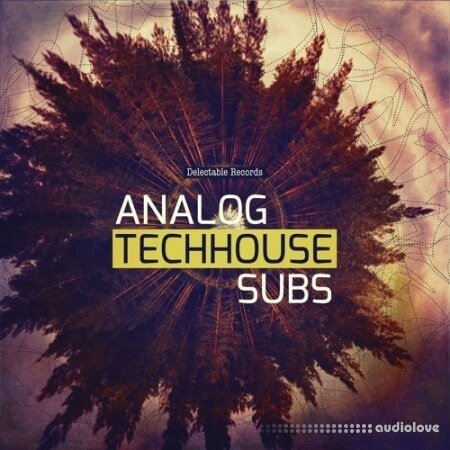 Delectable Records Analog Tech House Subs WAV