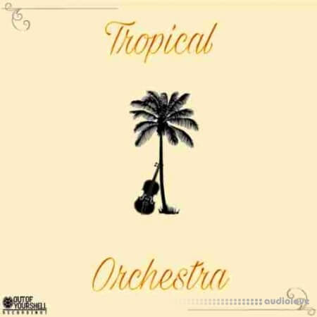 Out Of Your Shell Sounds Tropical Orchestra WAV MiDi