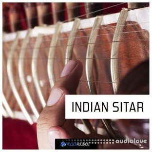 Pulsed Records World Series Indian Sitar