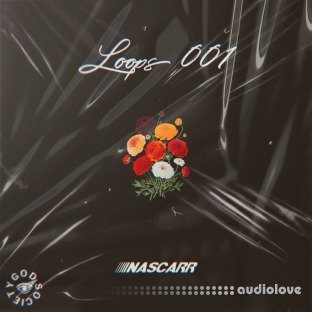 Nascarr Loops 001