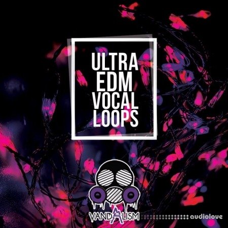 Vandalism Ultra EDM Vocal Loops