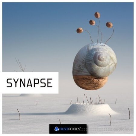 Pulsed Records Synapse WAV