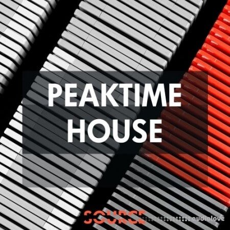 Source Sounds Peaktime House WAV