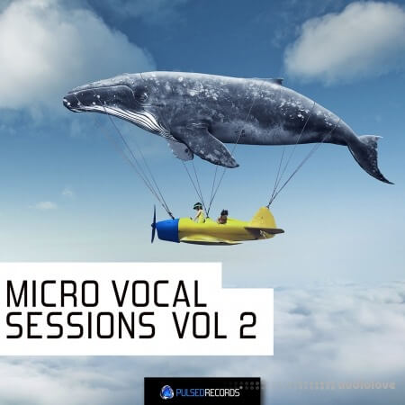 Pulsed Records Micro Vocal Sessions Vol.2