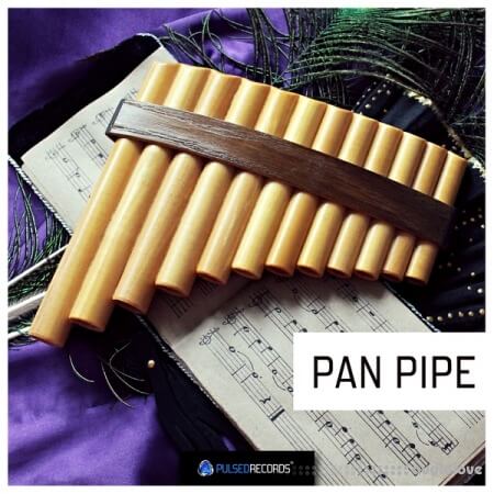 Pulsed Records World Series: Pan Pipe