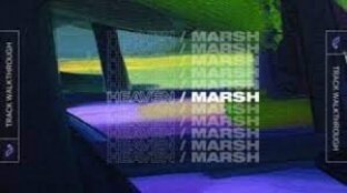 Sonic Academy Track Walkthroughs Marsh Heaven