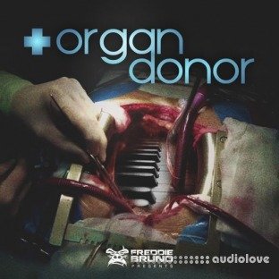Freddie Bruno Organ Donor