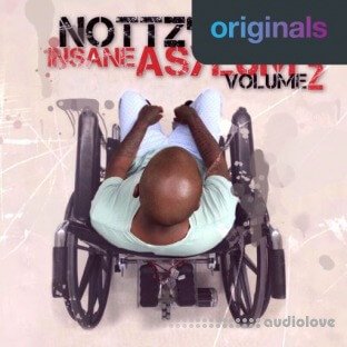 Nottz's Insane Asylum Volume 2