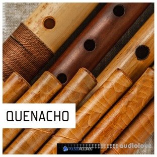 Pulsed Records World Series: Quenacho
