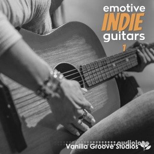 Vanilla Groove Studios Emotive Indie Guitars Vol.1