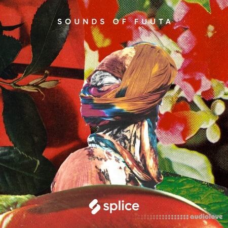 Splice Sessions Sounds of Fuuta