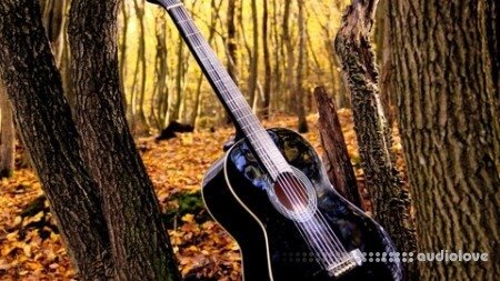 Udemy Learn Guitar quickly &amp; simply! Crash course for beginners