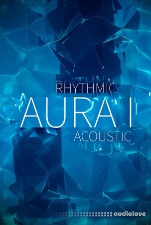 8Dio The New Rhythmic Aura Vol.1 KONTAKT