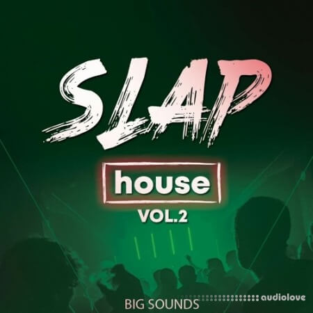 Big Sounds Slap House Volume 2 WAV MiDi Synth Presets