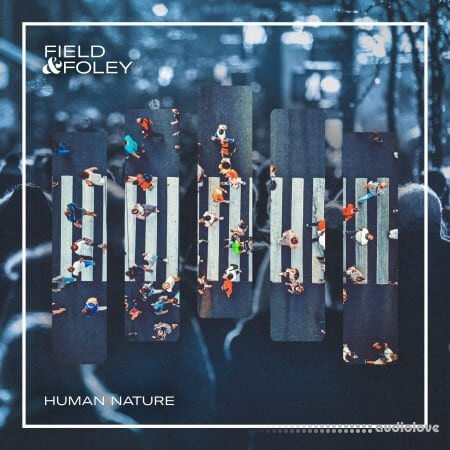 Field and Foley Human Nature