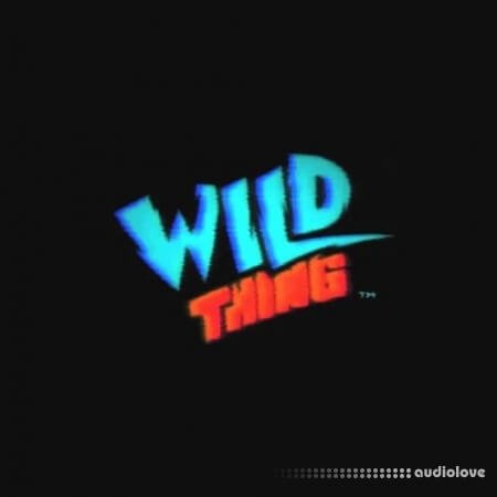 NoLyrics Wild Thing WAV MiDi