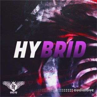 Big Citi Loops Hybrid Hip Hop