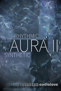 8Dio The New Rhythmic Aura Vol.2