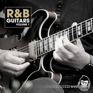 Vanilla Groove Studios RnB Guitars Vol.1