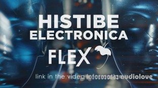 Image-Line Flex Expansion Electronica by Histibe