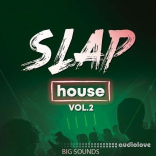 Big Sounds Slap House Volume 2