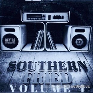 Divided Souls Southern Fried Volume 4