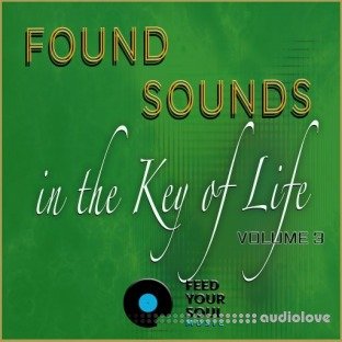 Feed Your Soul Music Found Sounds Vol.3  Sounds in The Key of Life