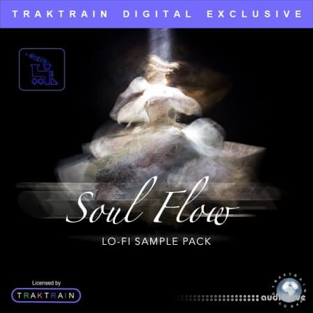 TrakTrain Soul Flow Lo-Fi Sample Pack WAV