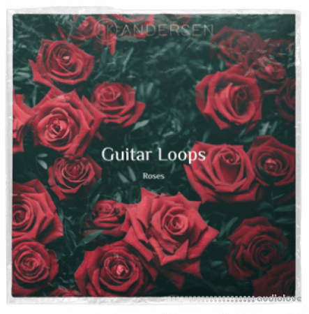 BK Andersen Guitar Loops Roses WAV