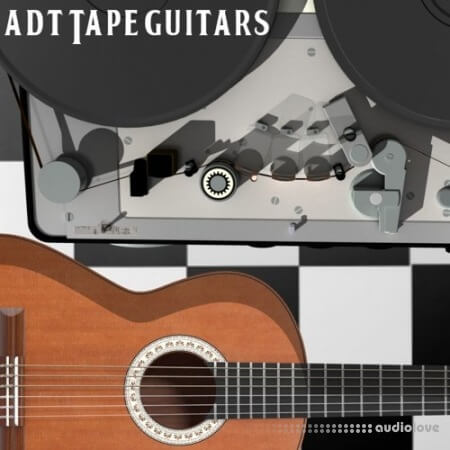 Past To Future Samples ADT Guitars WAV