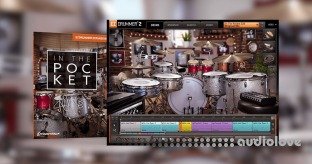 Toontrack In The Pocket EZX Expansions
