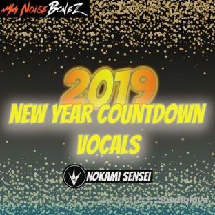 NoiseBonez New Year's Countdown
