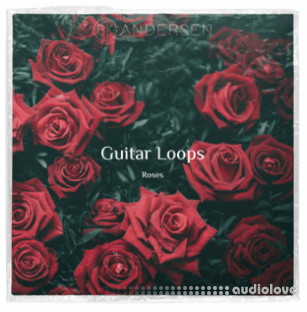 BK Andersen Guitar Loops Roses