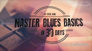 GuitarZoom Master Blues Basics in 30 days with Steve Stine 2016