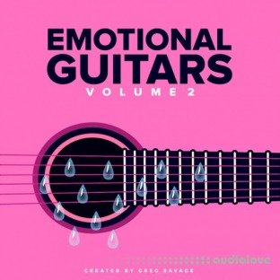DiyMusicBiz Emotions Guitar SoundPack Vol.2