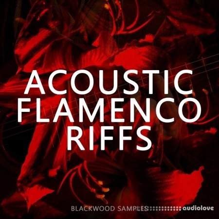 Blackwood Samples Acoustic Flamenco Riffs WAV