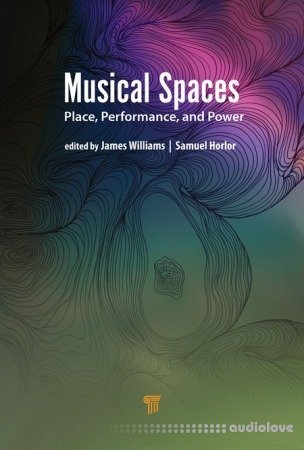 Musical Spaces: Place, Performance, and Power