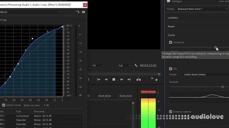 LinkedIn Mastering the Essential Sound Panel in Premiere Pro TUTORiAL