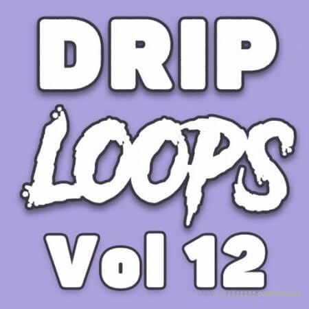DiyMusicBiz Drip Loops Vol.12 WAV