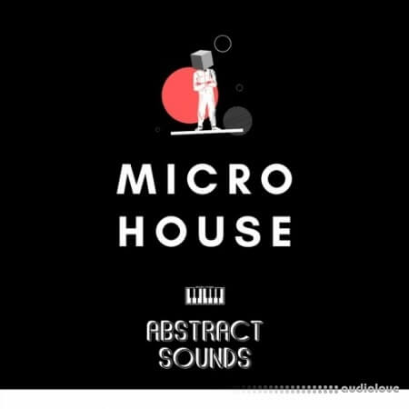 Abstract Sounds Micro House