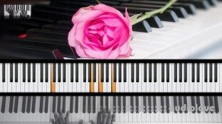 Udemy Piano by Ear Piano lessons for Piano and Keyboard