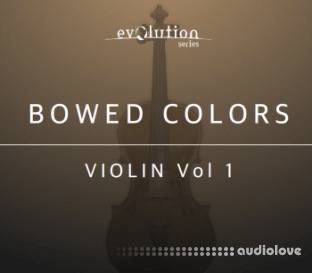 Evolution Series Bowed Colors Violin Vol.1