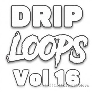 DiyMusicBiz Drip Loops Vol.16