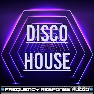 Frequency Response Audio Disco House