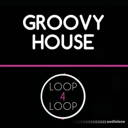 Loop 4 Loop Groovy House