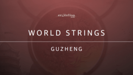 Evolution Series World Strings Guzheng