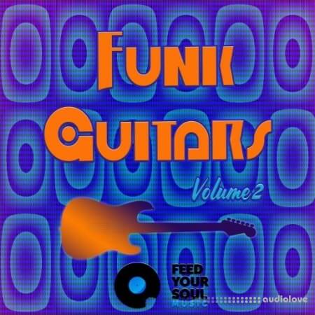 Feed Your Soul Music Funk Guitars Volume 2