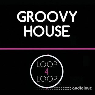 Loop 4 Loop Groovy House