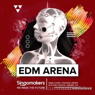 Singomakers EDM Arena