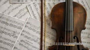 Udemy Beginner Violin Course Learn Violin from Scratch